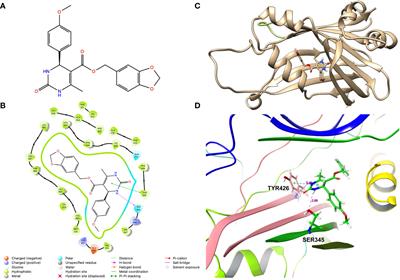 Structure-based discovery of a novel small-molecule inhibitor of TEAD palmitoylation with anticancer activity